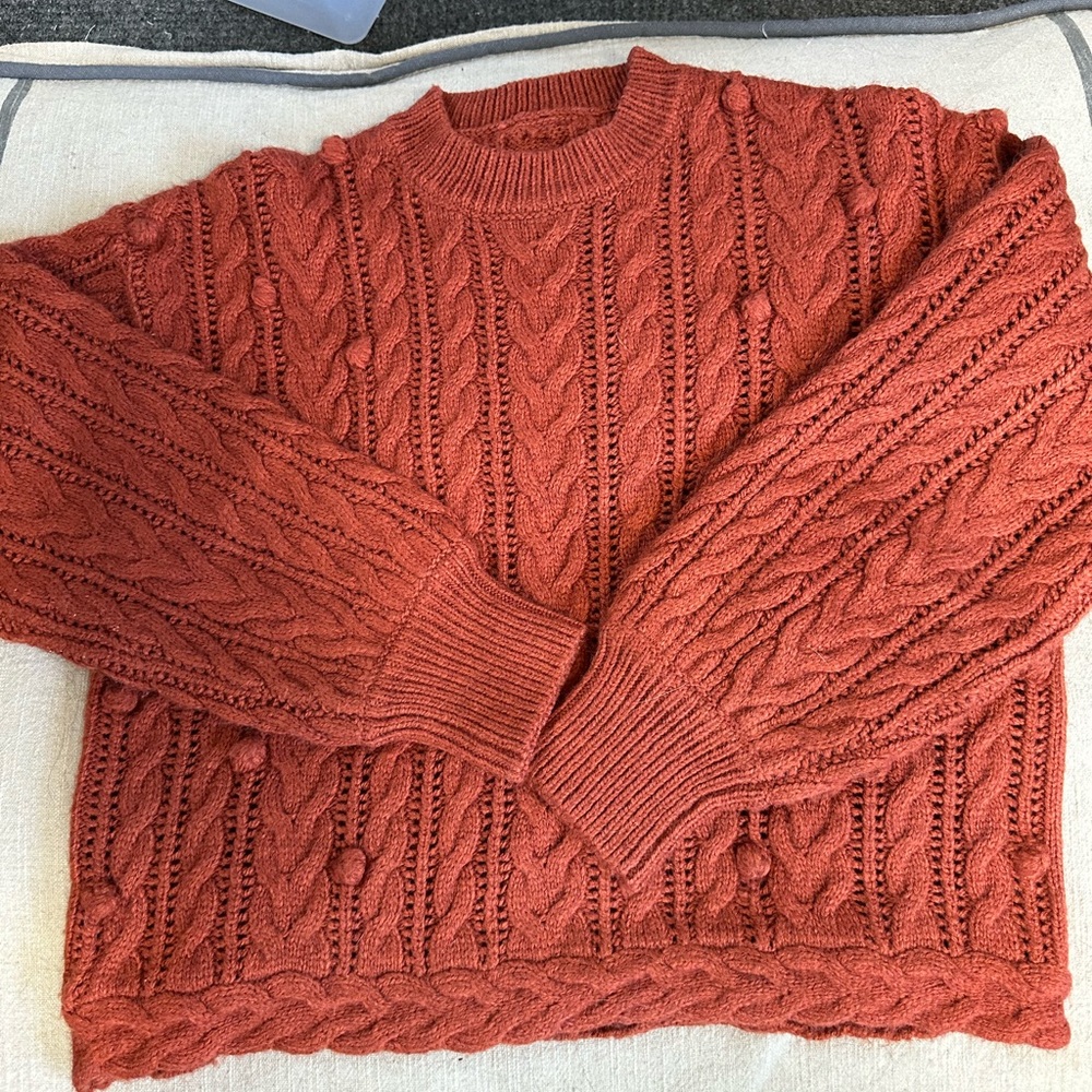 Michael Stars Rust Cable Knit Sweater
